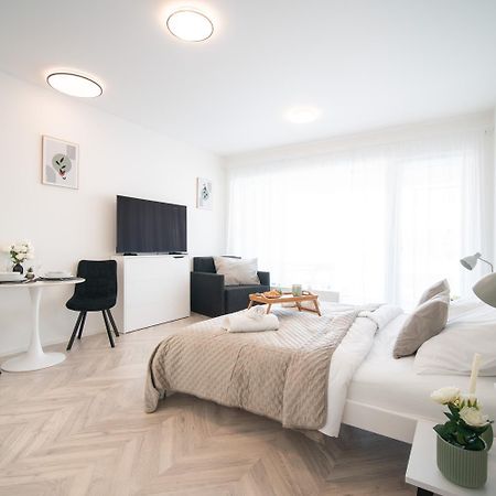 City Relax Apartments With Free Parking, 10 Mins Walk To City Centre Brno Dış mekan fotoğraf