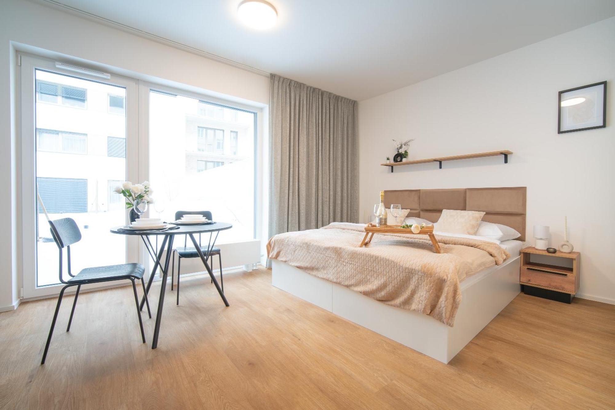 City Relax Apartments With Free Parking, 10 Mins Walk To City Centre Brno Dış mekan fotoğraf